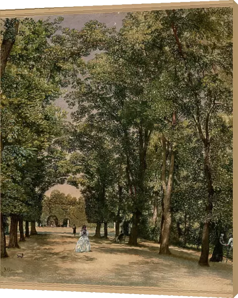 Avenue in the Schonbrunn palace park, ca 1871-1874