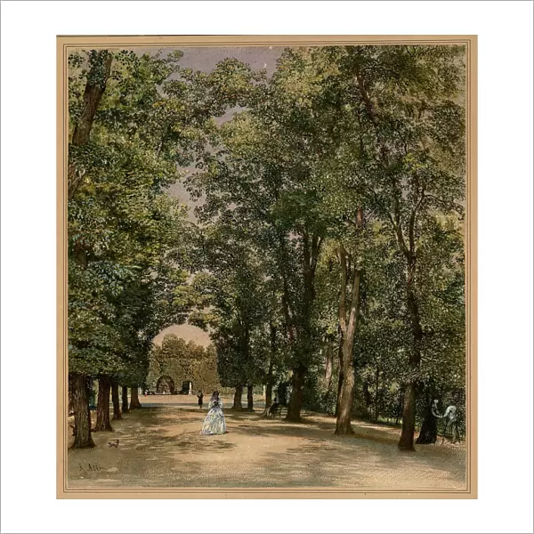 Avenue in the Schonbrunn palace park, ca 1871-1874