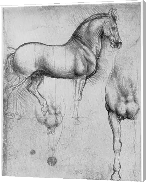 Studies of Horses, c1490 (1954)