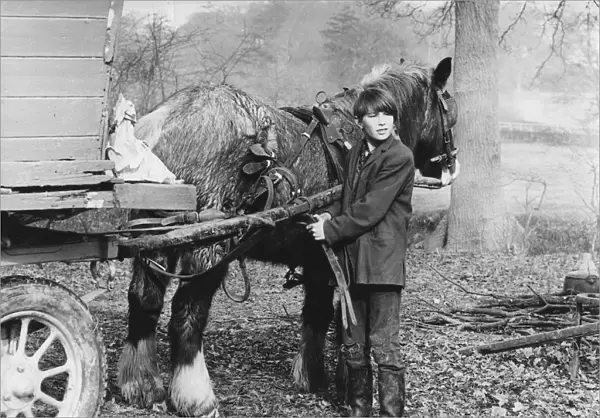 Young gypsy with a horse, 1960s