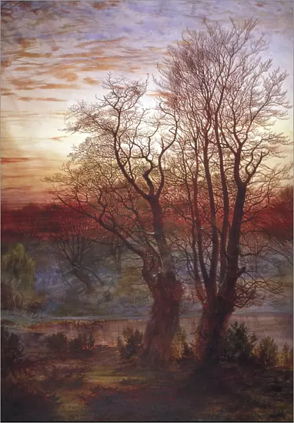 Burnham Beeches, c1841-1902. Artist: Andrew MacCallum