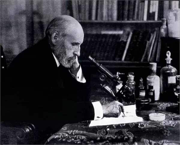 Santiago Ramon y Cajal (1852-1934), Spanish physician and researcher, Nobel