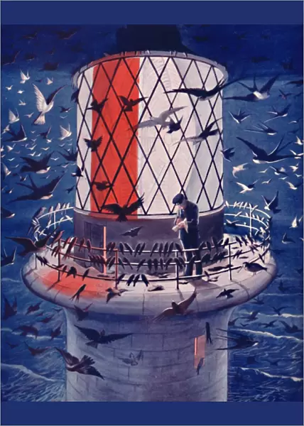 Migrant Birds Visit the Lighthouse, 1935