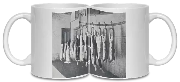 Frozen Meat, 1923. Creator: Unknown