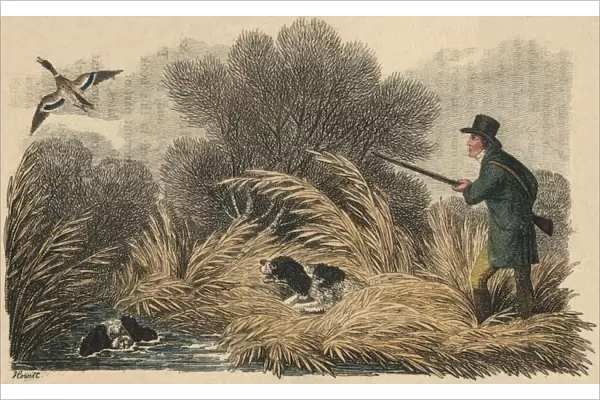 Duck Shooting, 1810. Creator: Samuel Howitt