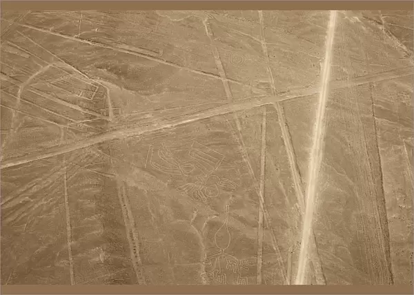 The Condor, Nazca Lines, Ica, Peru, 2015. Creator: Luis Rosendo