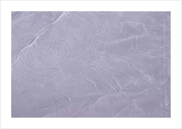 The Monkey, Nazca Lines, Ica, Peru, 2015. Creator: Luis Rosendo