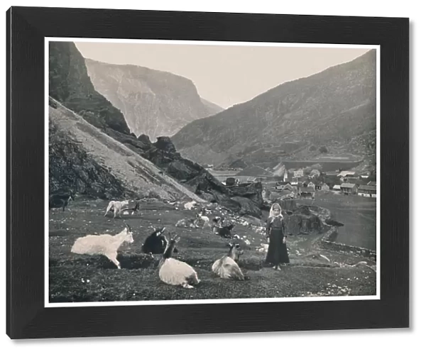 Flaam, 1914. Creator: Unknown