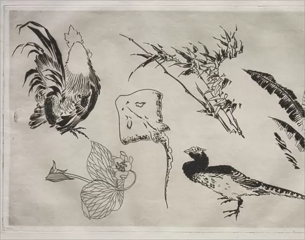 Dinner Service (Rousseau service): Roosters, skate, plants, etc. (no. 9), 1866. Creator