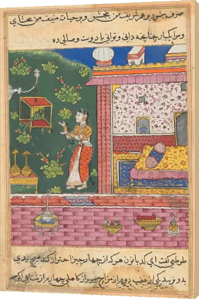Page from Tales of a Parrot (Tuti-nama): Thirtieth night: The parrot addresses Khujasta