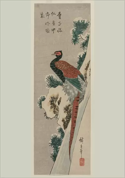Copper Pheasant by Snowy Waterfall, late 1830s or early 1840s. Creator: Ando Hiroshige (Japanese, 1797-1858)