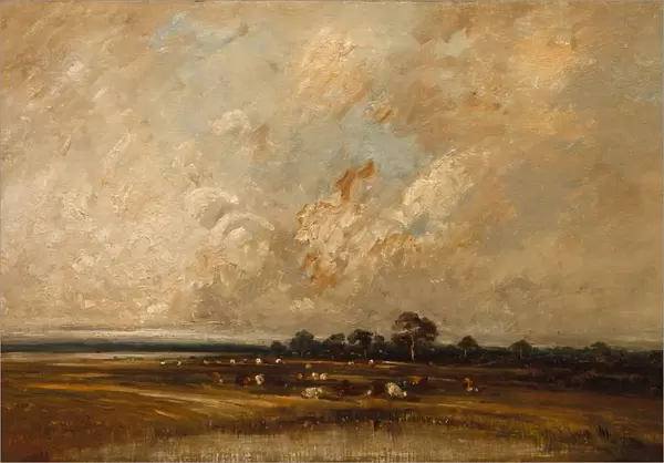 Marshland, 1860s-1870s. Creator: Jules Dupre (French, 1811-1889)