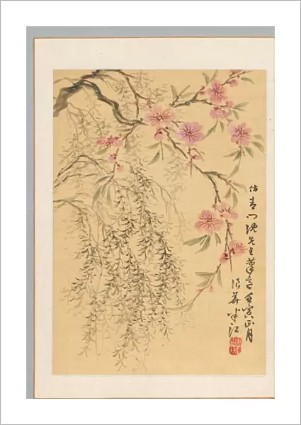 Peach Blossoms and Willows, 1842. Creator: Hanko Okada (Japanese, 1782-1845)