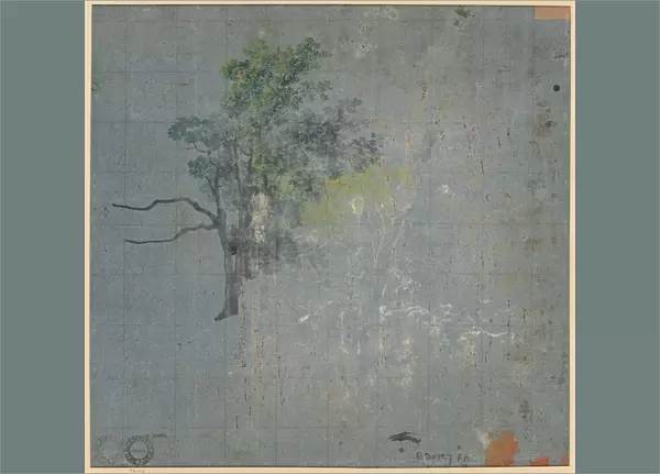 Tree Studies, first half 1800s. Creator: Johann Jacob Dorner (German, 1775-1852)