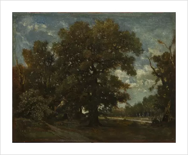 The Oak Tree, 19th century. Creator: Theodore Rousseau (French, 1812-1867), imitator of