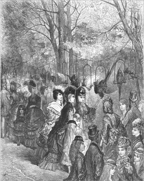 Zoological Gardens - The Parrot Walk, 1872. Creator: Gustave Doré