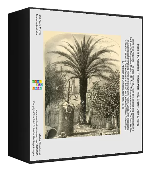 Scene in St. Augustine - The Date Palm, 1872. Creator: John J. Harley