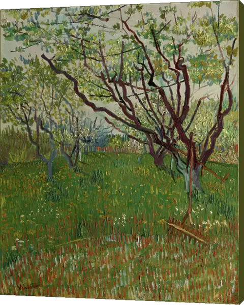The Flowering Orchard, 1888. Creator: Vincent van Gogh