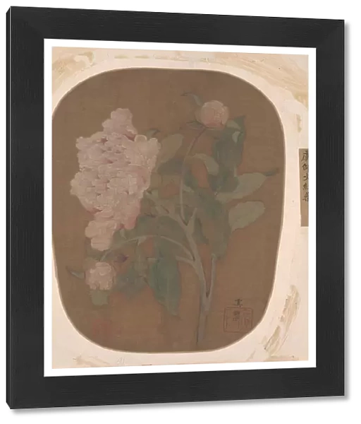Peony Flower and Leaves. Creator: Unknown