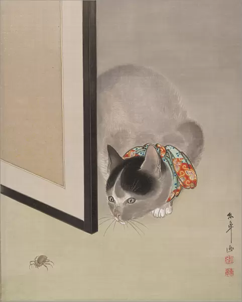 Cat Watching a Spider, ca. 1888-92. Creator: Toko Oide