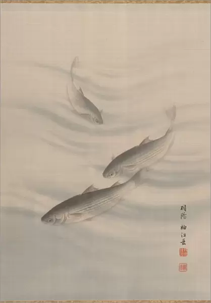 Fishes Swimming, ca. 1890-92. Creator: Seki Shuko