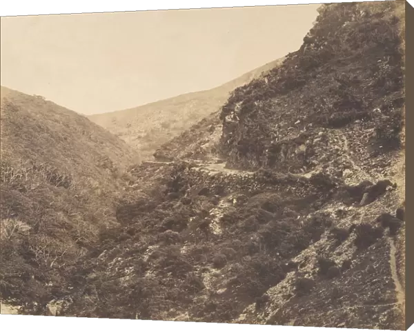 On the Road to Watersmeet, near Lynton, North Devon, 1856. Creator: Arthur Julius Pollock
