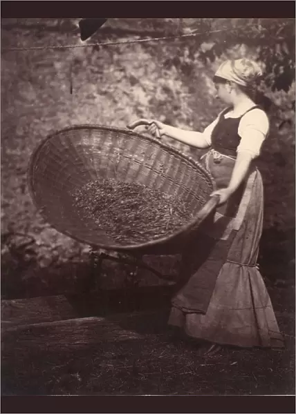 [Peasant Woman with Winnowing Basket], late 1870s. Creator: Unknown
