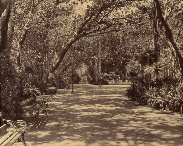 Sookh-Vilas Palace Garden, 1880-90. Creator: Lala Deen Dayal