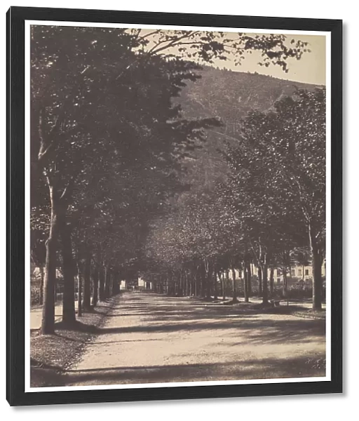 Allee of Trees, Pau, 1854. Creator: William Henri Gebhard