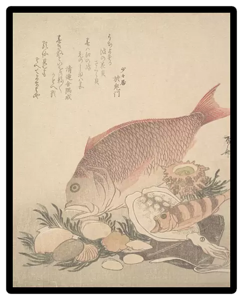 Large and Small Fish Swimming Among Shells and Moss at the Bottom of the Sea, ca. 1830