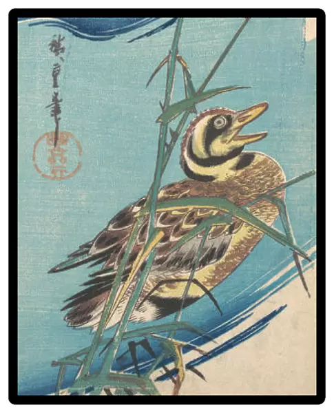 Mallard Ducks and Snow-covered Reeds, ca. 1843. ca. 1843. Creator: Ando Hiroshige
