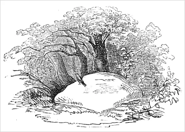 The 'Mickle Stane'- Tam o Shanter, 1844. Creator: Unknown