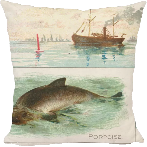 Porpoise, from Fish from American Waters series (N39) for Allen & Ginter Cigarettes