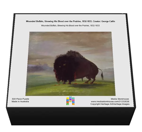 Wounded Buffalo, Strewing His Blood over the Prairies, 1832-1833. Creator: George Catlin
