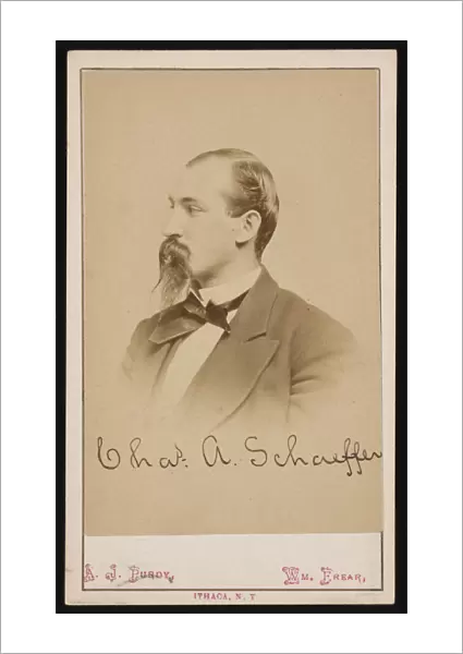 Portrait of Charles Ashmead Schaeffer (1843-1898), 1870s. Creator: Purdy & Frear