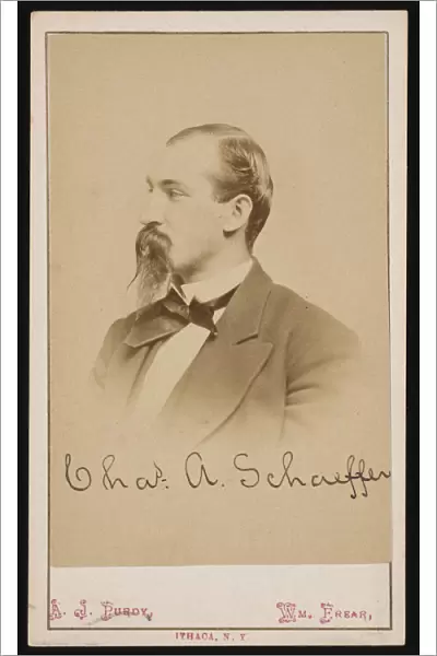 Portrait of Charles Ashmead Schaeffer (1843-1898), 1870s. Creator: Purdy & Frear