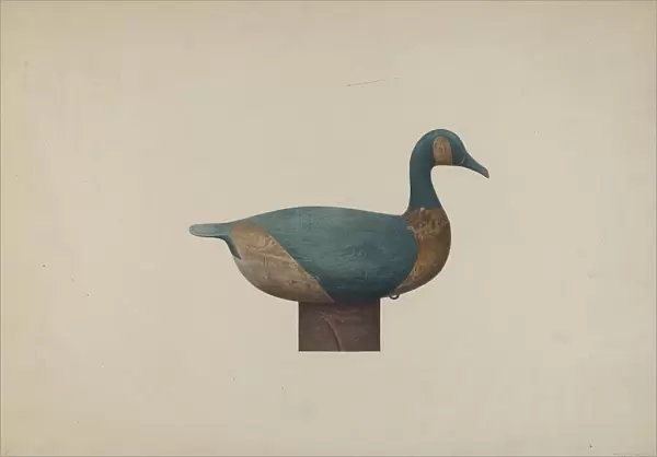 Decoy Duck, c. 1939. Creator: John Sullivan