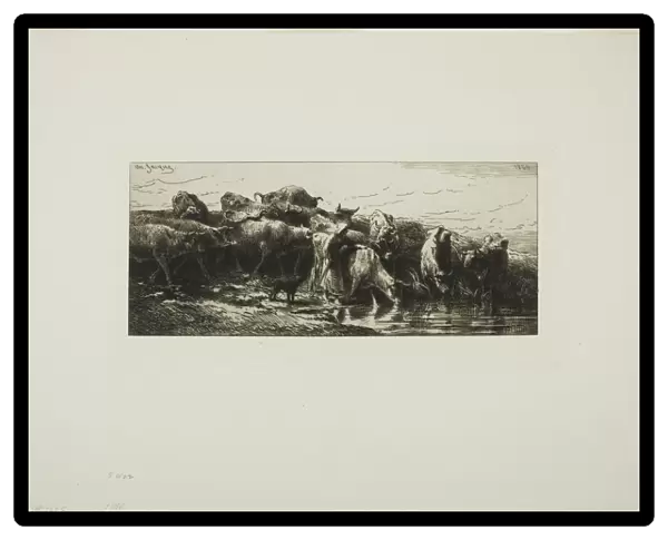 Cows Drinking from the River, 1878. Creator: Charles Emile Jacque