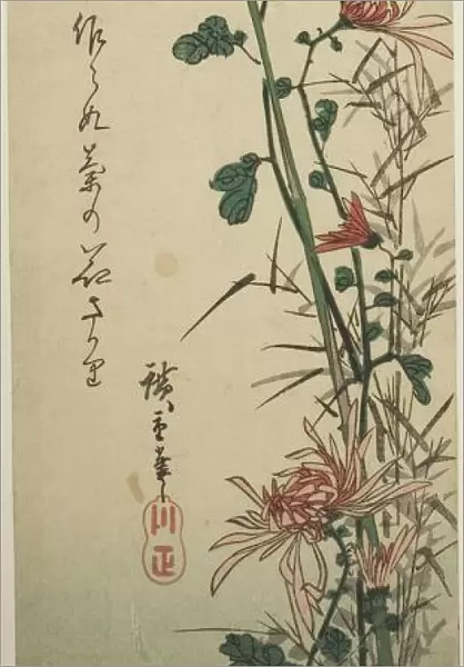 Japanese White-eyes and Chrysanthemums, c. 1830 / 44. Creator: Ando Hiroshige