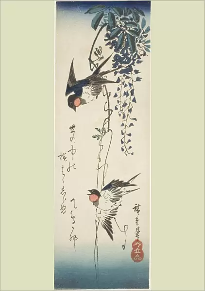Swallows and wisteria, 1840s. Creator: Ando Hiroshige