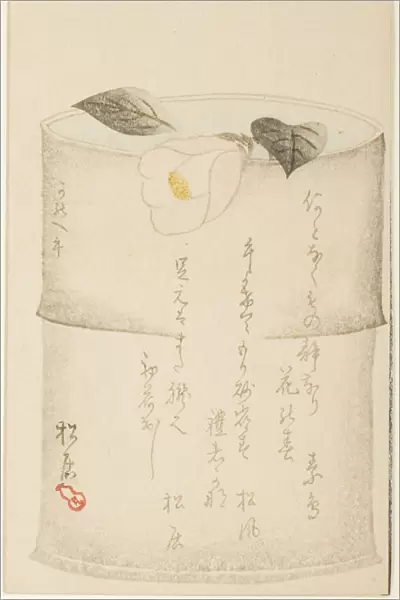 Camellia, 1870. Creator: Shokyo