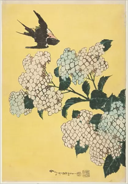 Hydrangea and Swallow, from an untitled series of large flowers, Japan, c. 1833  /  34