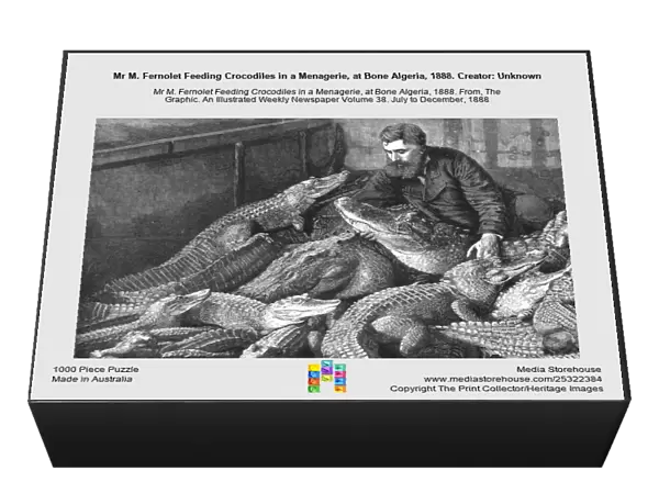 Mr M. Fernolet Feeding Crocodiles in a Menagerie, at Bone Algeria, 1888. Creator: Unknown