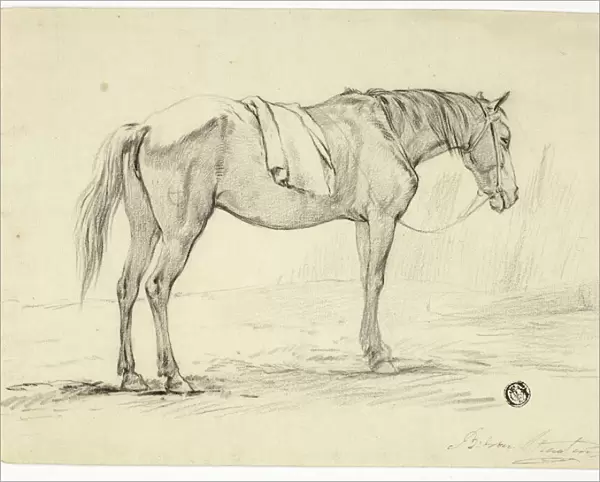 Standing Horse, n. d. Creator: Unknown