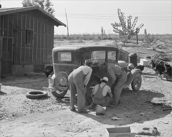 Stephens brothers, who own combine cooperatively... Nyssa Heights district, Oregon, 1939. Creator: Dorothea Lange