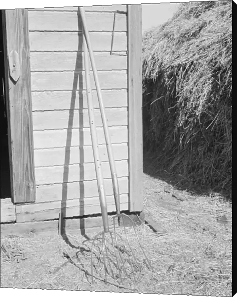 Hay forks, Northern Oregon farm, Morrow County, Oregon, 1939. Creator: Dorothea Lange