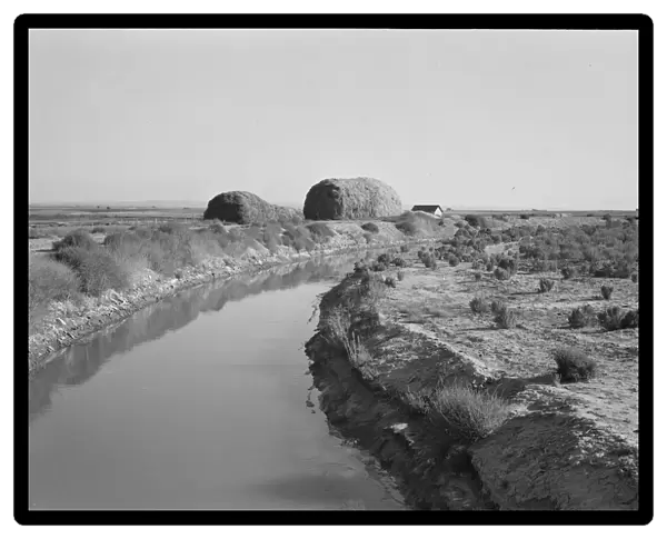 Irrigation canal and the preachers farm, Dead Ox Flat, Malheur County, Oregon, 1939. Creator: Dorothea Lange