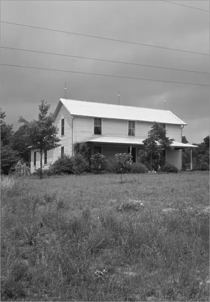 Substantial looking tobacco farm, Person county, North Carolina, 1939. Creator: Dorothea Lange