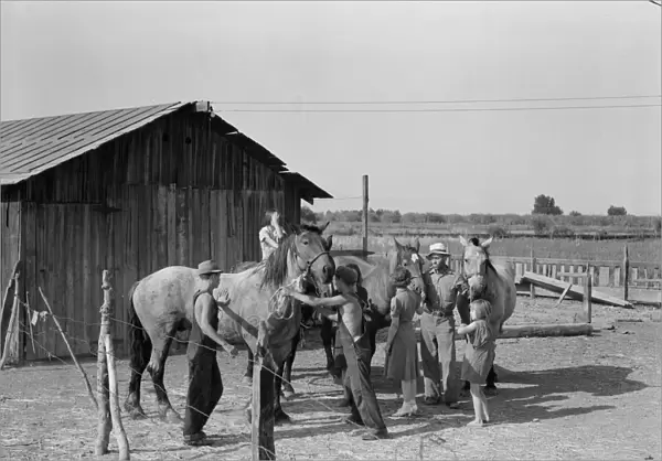 Chris Adolf, his team, and six of his children on their new farm, Washington, Yakima Valley, 1939. Creator: Dorothea Lange