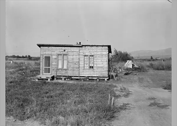 Possibly: Yakima, Washington, 1939. Creator: Dorothea Lange